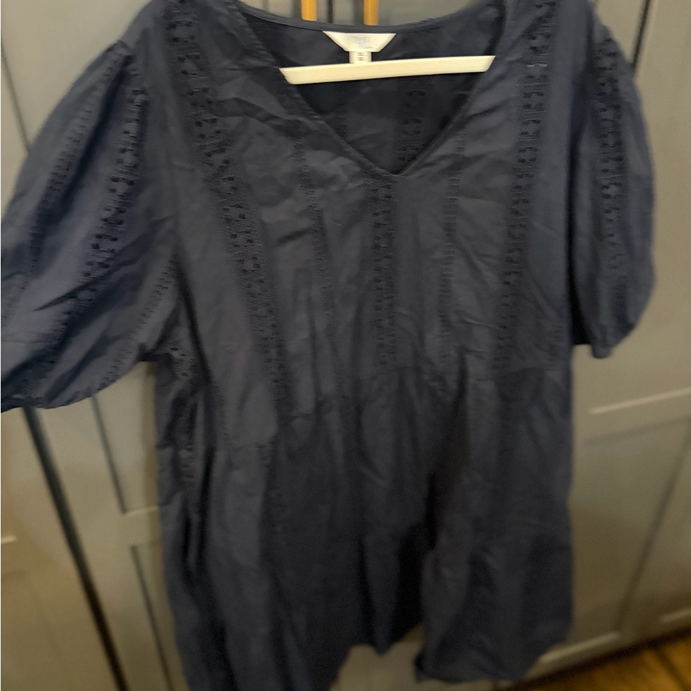 Time and Tru Navy Mini Dress